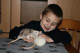 RAT 006